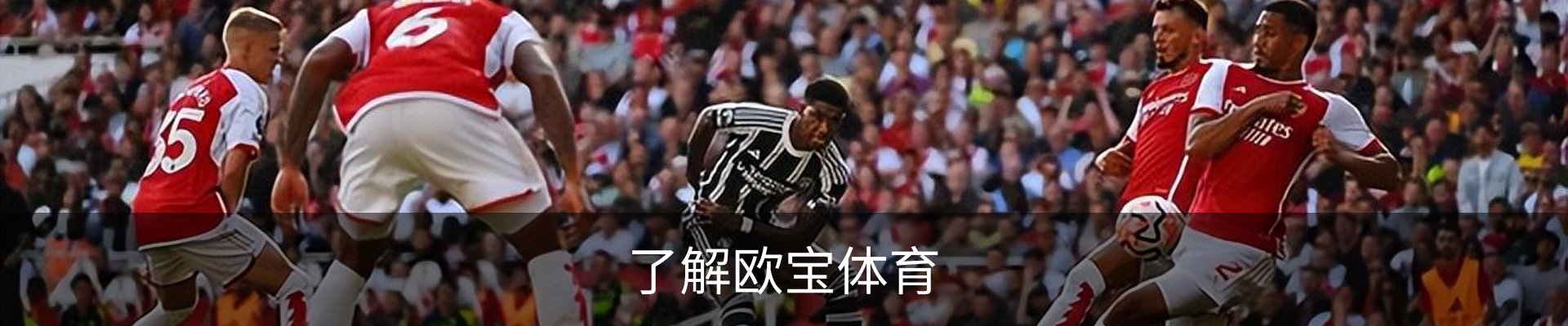 了解欧宝体育